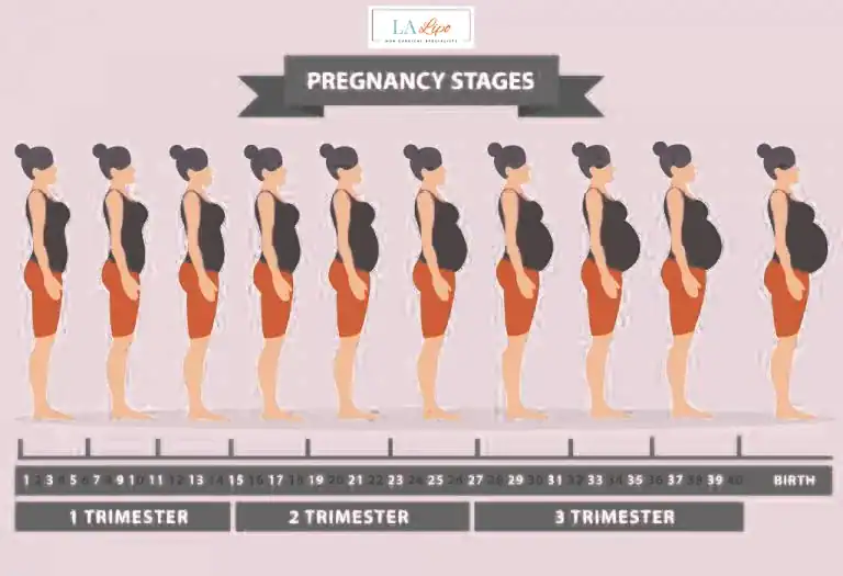 First Trimester (Weeks 1–12): Early Changes You Might Not Notice Uckfield